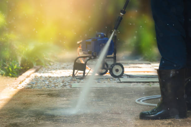 Best Spring Cleaning  in Wilson, NC